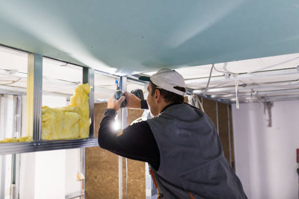 Professional Insulation Contractor in MI