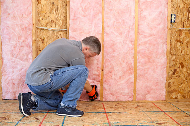 Best Residential Insulation in Mattawan, MI